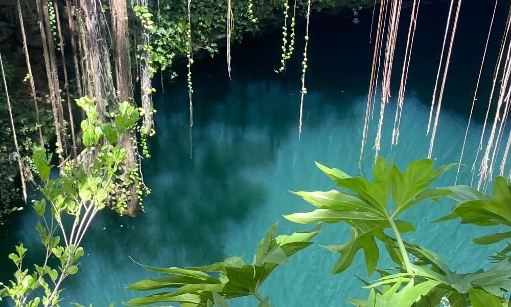 Naturaleza de los cenotes de Yucatán.