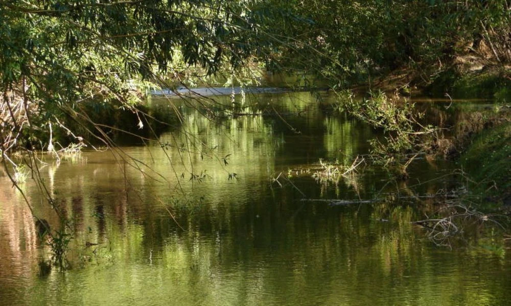 Caudal de agua.