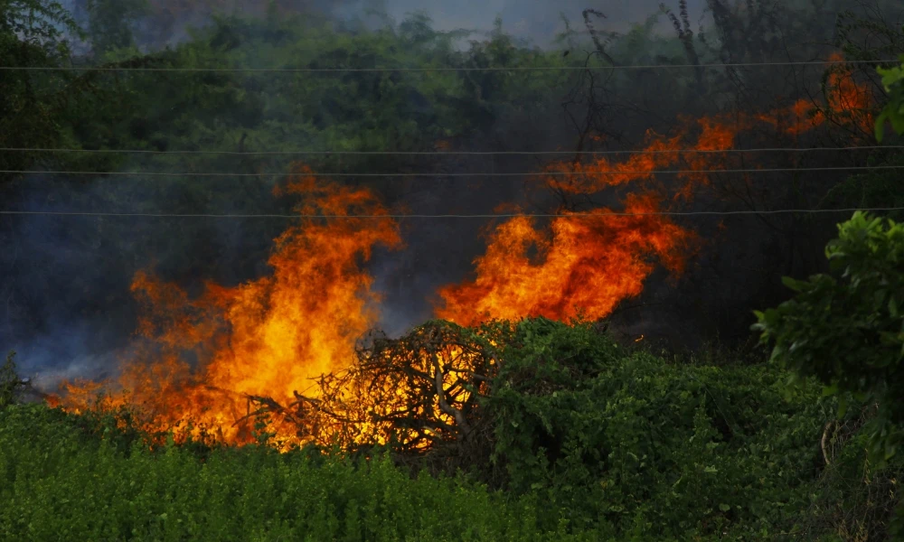 qué es un incendio forestal y qué necesita para crecer
