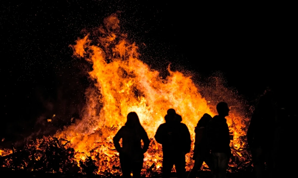 ¿Por qué hay incendios forestales cada vez más grandes en el mundo y cómo hacer para evitarlos?