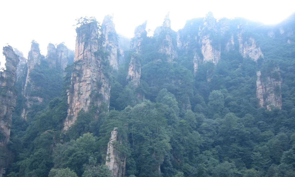 Naturaleza del lugar.