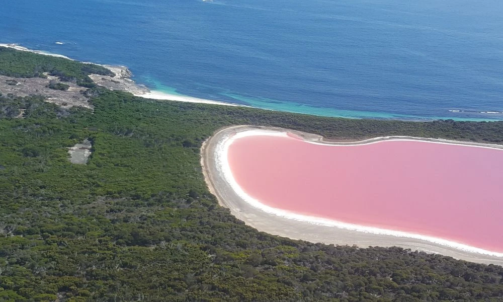 Vistas al lago Hillier.