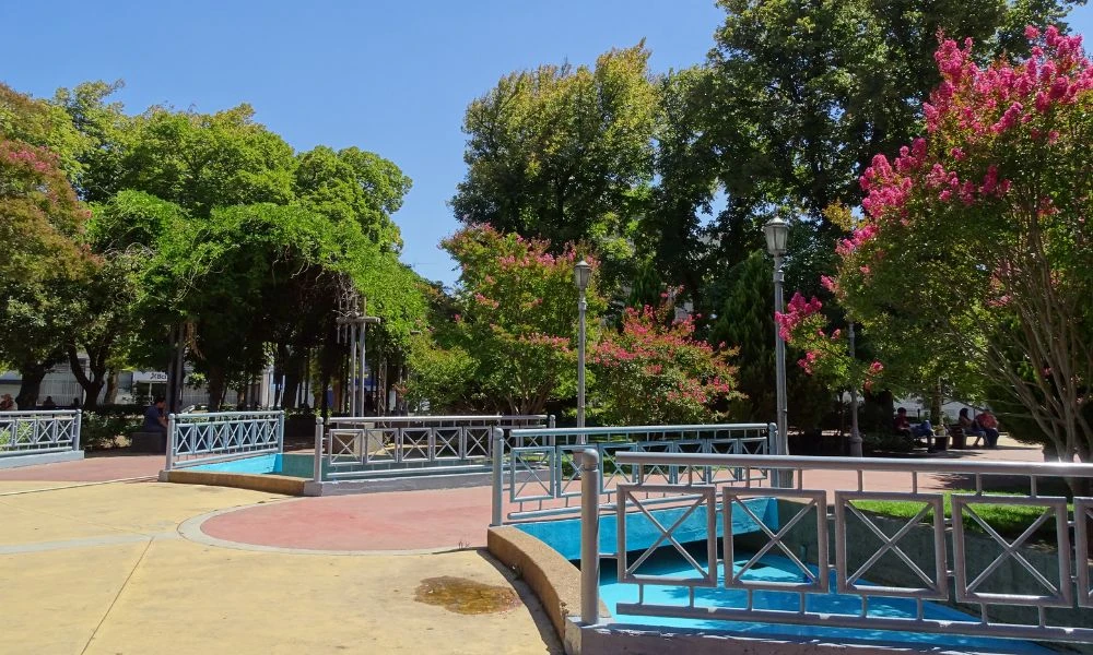 Naturaleza del lugar.