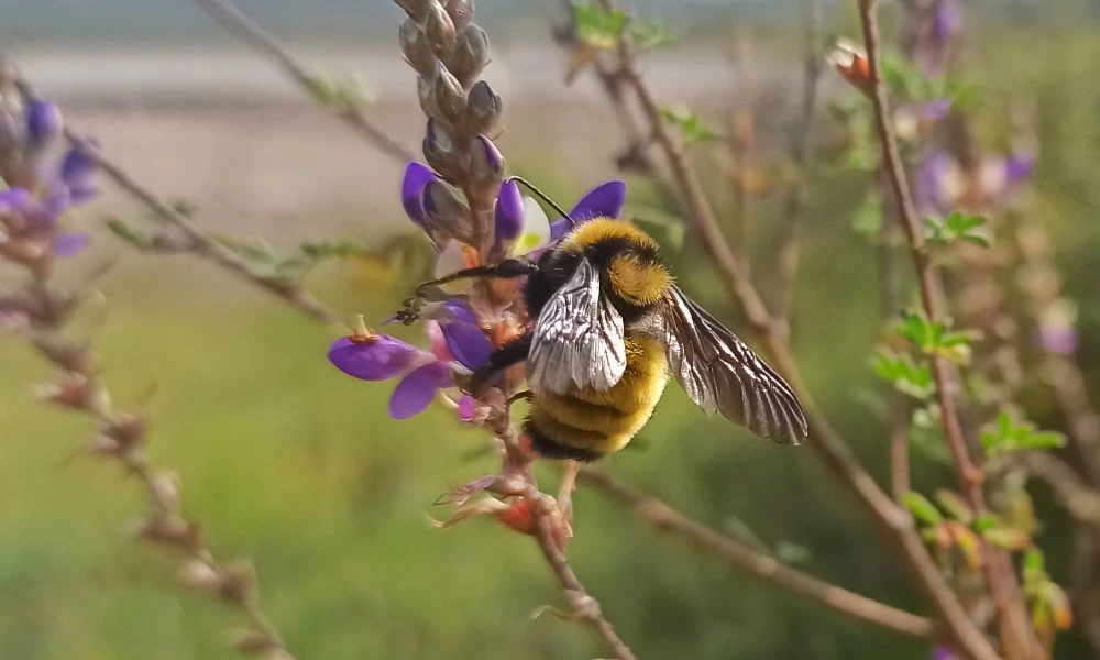 Naturaleza.