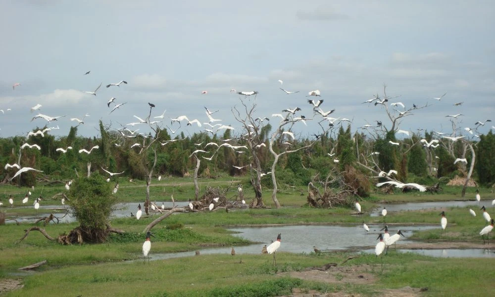 Naturaleza del lugar.