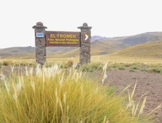 Parque Provincial El Tromen: ¿cómo visitar este rincón repleto de naturaleza de Neuquén?