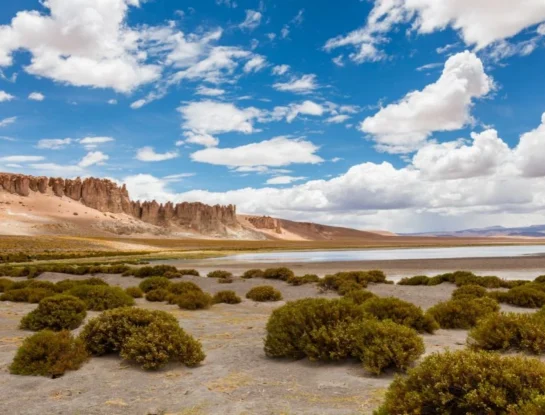 Salar de Tara: ¿cómo visitar este increíble paisaje de Chile?