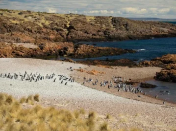 Así es Cabo Dos Bahías, uno de los paisajes más curiosos de Chubut