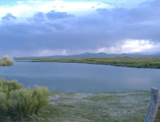 Laguna de Llancanelo: el espejo de agua de Mendoza donde viven miles de aves