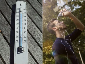 calor-y-temperatura