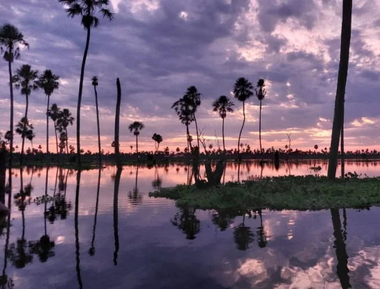 Bañado La Estrella, el increíble humedal de Formosa que sorprende al mundo con sus paisajes