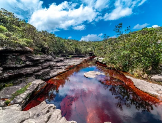 Caño Cristales, el río de Colombia que tiene cinco colores gracias a una planta especial