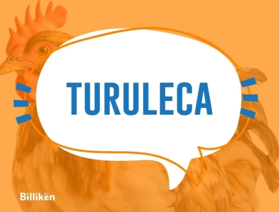¿Qué significa la palabra "turuleca" y por qué le dicen así a la gallina?