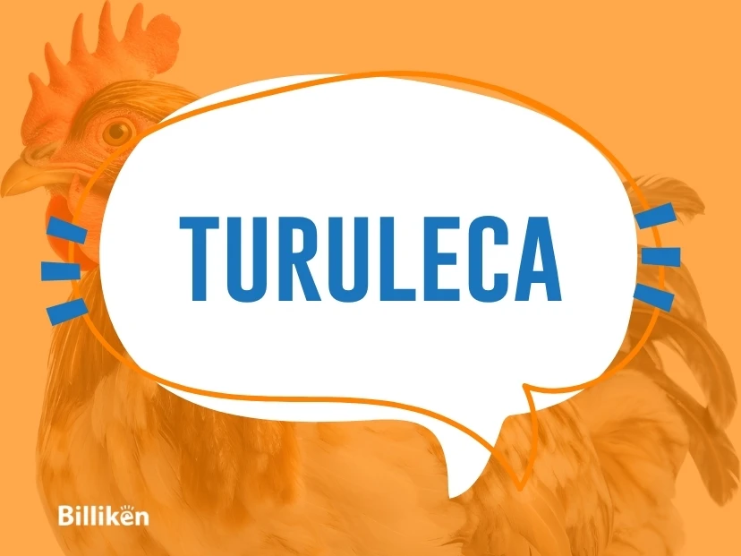¿Qué significa la palabra "turuleca" y para qué se usa?