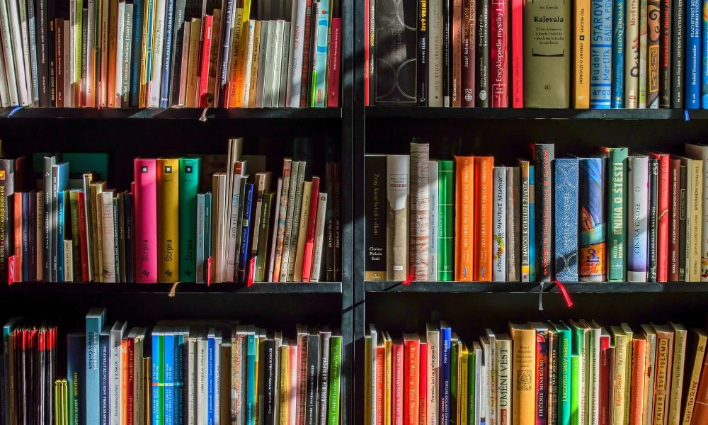 Estantes en el Día del Libro.