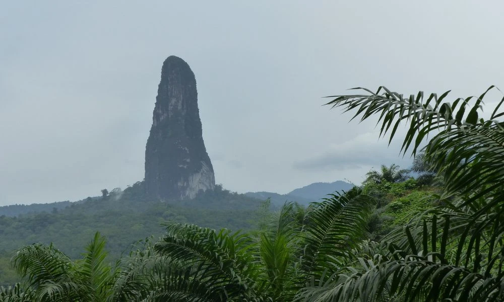 La montaña en medio de la naturaleza. 