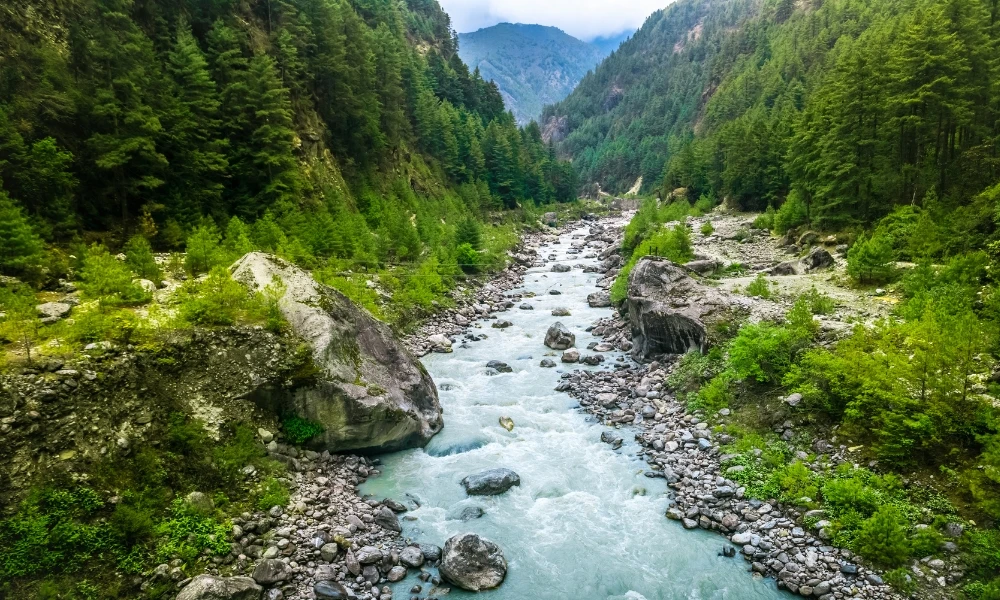 Día Mundial del Medio Ambiente: por qué se celebra cada 5 de junio