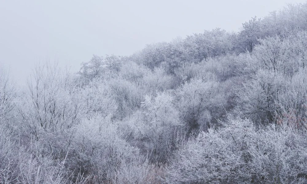 Invierno.