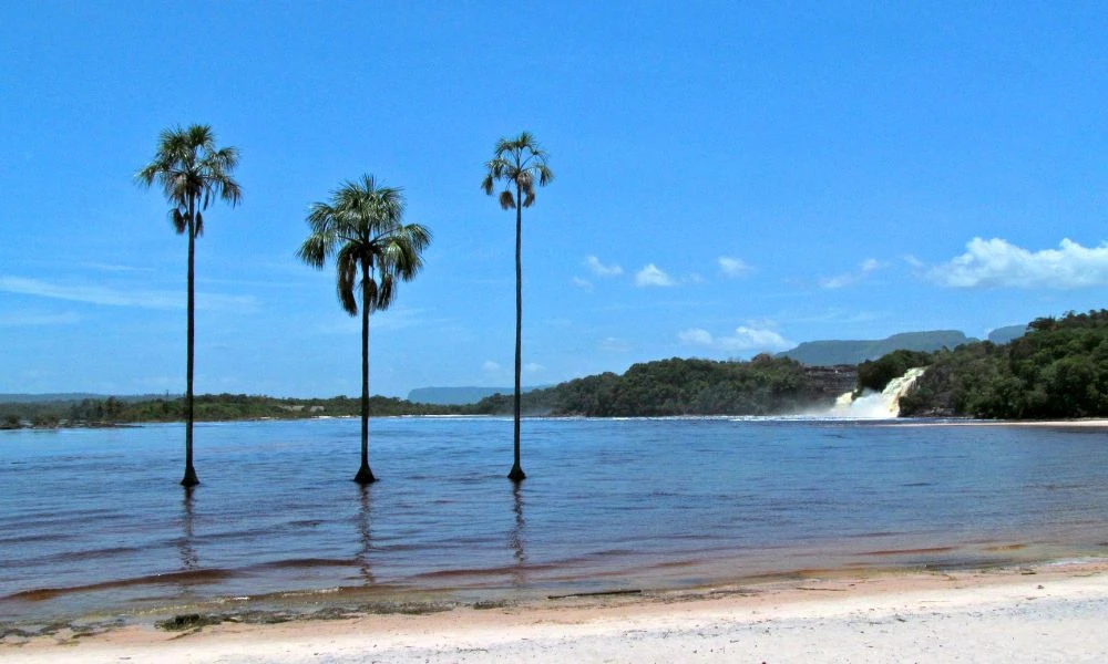 Naturaleza del lugar.