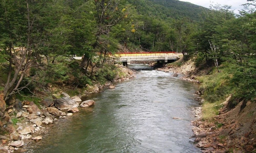 El paisaje en verano.