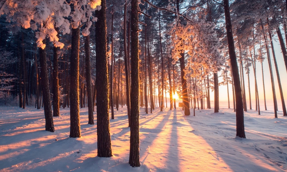 ¿Por qué en invierno los días son más cortos?
