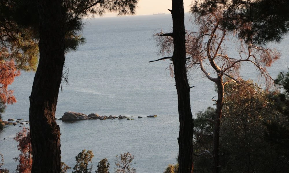 Aspecto de un geoparque.