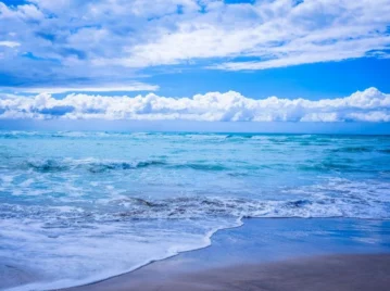 dia-mundial-de-los-oceanos