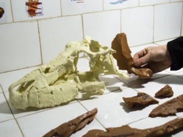 Descubrieron en La Rioja un gigante que vivió antes que los dinosaurios: conocé al temible Shakajlura riojanensis