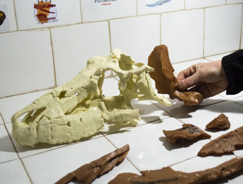 Descubrieron en La Rioja un gigante que vivió antes que los dinosaurios: conocé al temible Shakajlura riojanensis