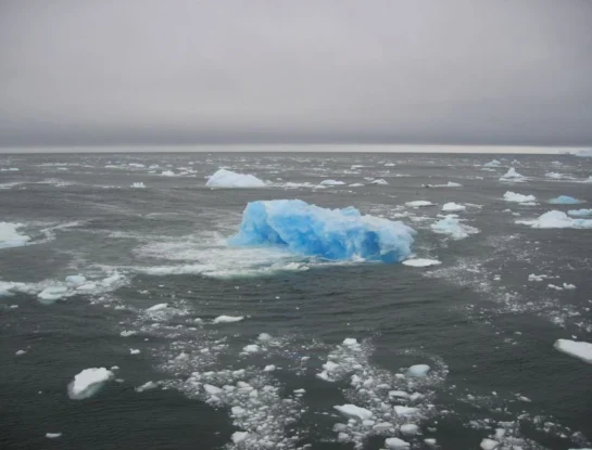 ¿Por qué el hielo flota sobre el agua?