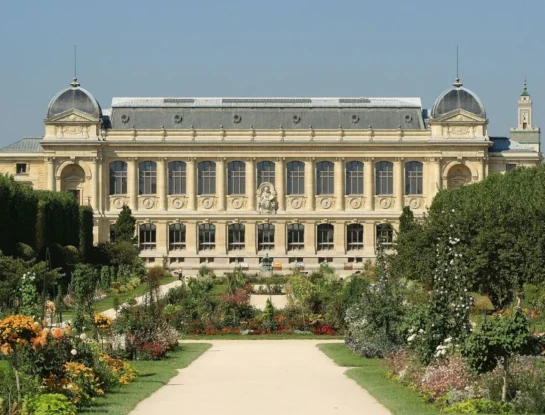 ¿Cuál es la historia del Jardín de plantas de París y cómo visitarlo?