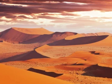 Namib: cómo es el desierto más antiguo del planeta y qué animales viven allí