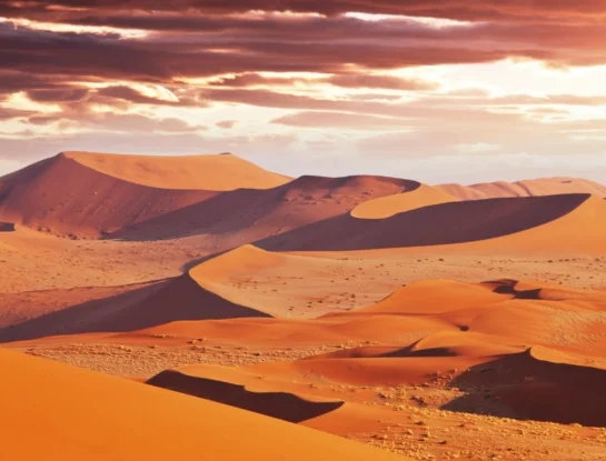 Namib: cómo es el desierto más antiguo del planeta y qué animales viven allí