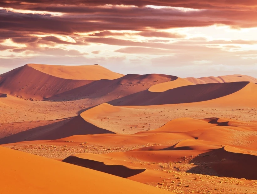 Namib: cómo es el desierto más antiguo del planeta y qué animales viven allí
