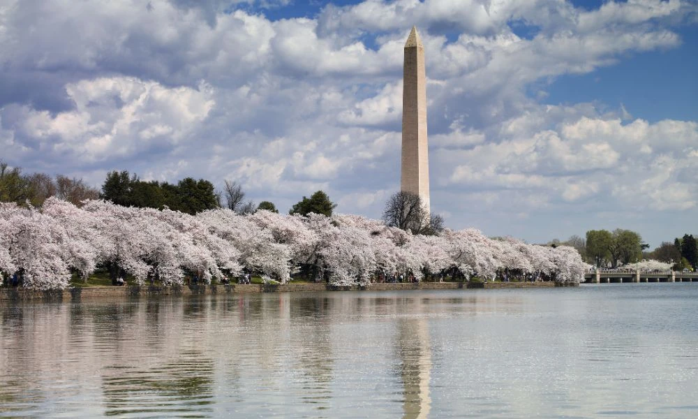 Paisajes de una ciudad capital.