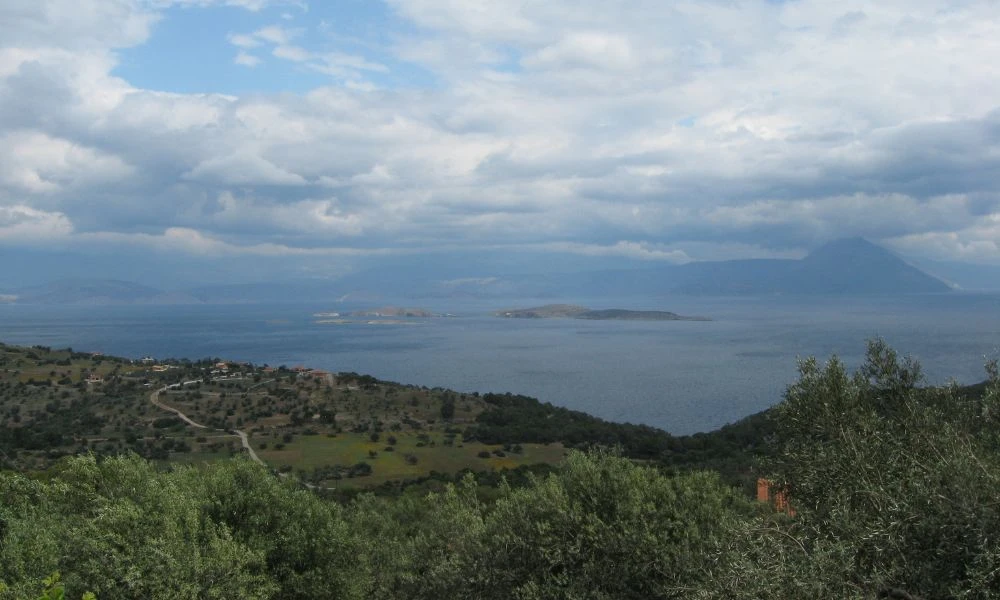 Golfo.