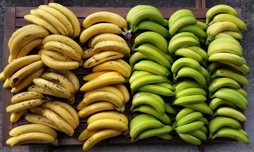 por qué las bananas cambian de color