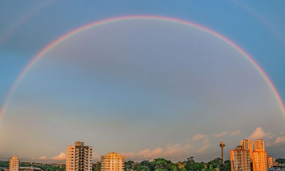 Vistas al cielo.