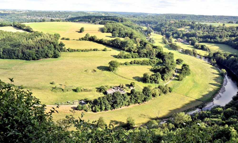 Paisajes verdes.