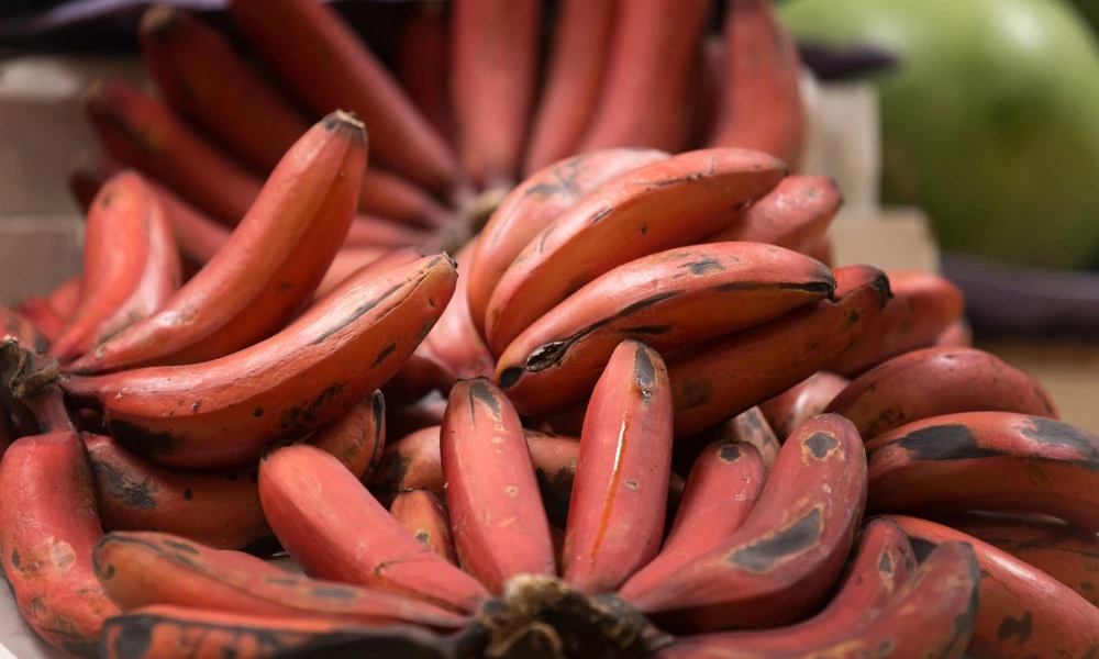 hay bananas de otros colores