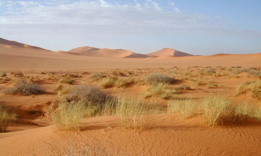Desiertos y su aspecto.