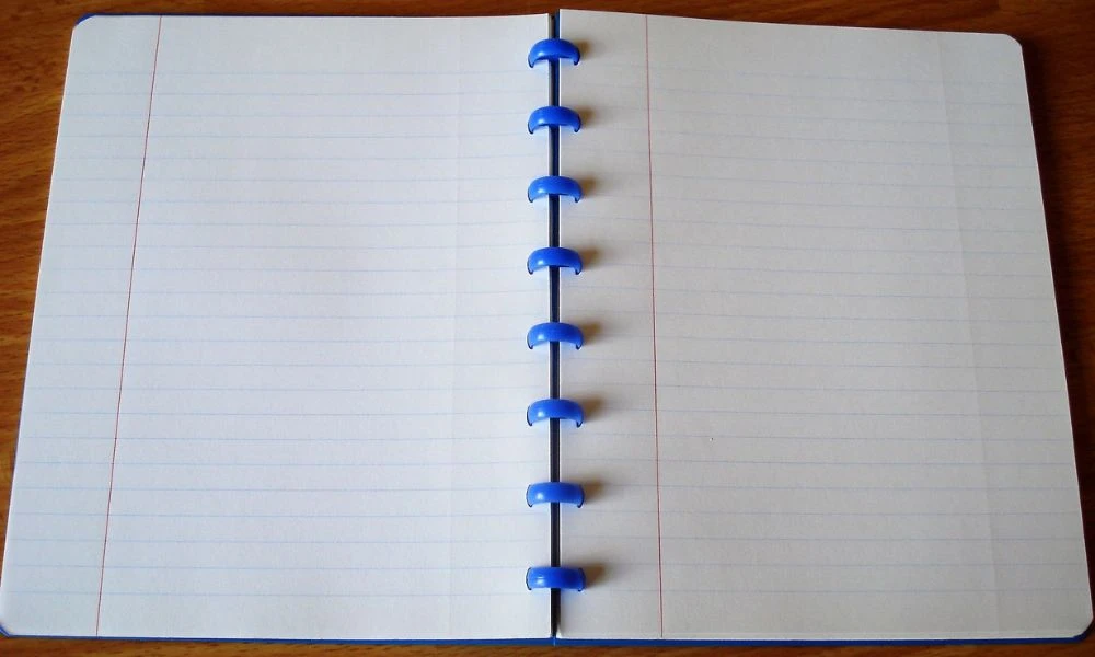 Aspecto de los cuadernos.