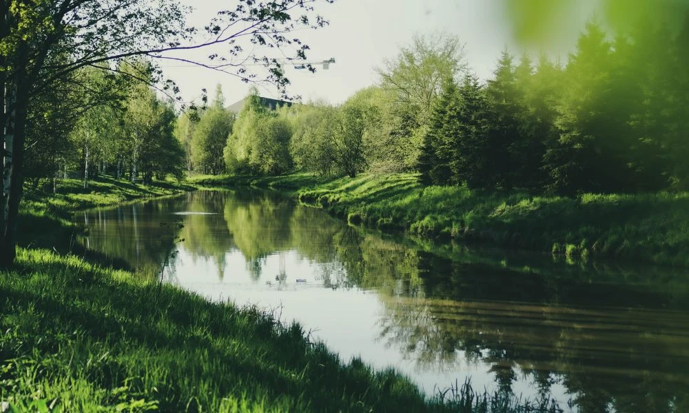 Naturaleza.