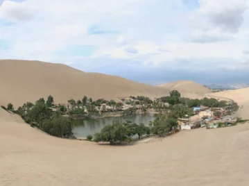 oasis