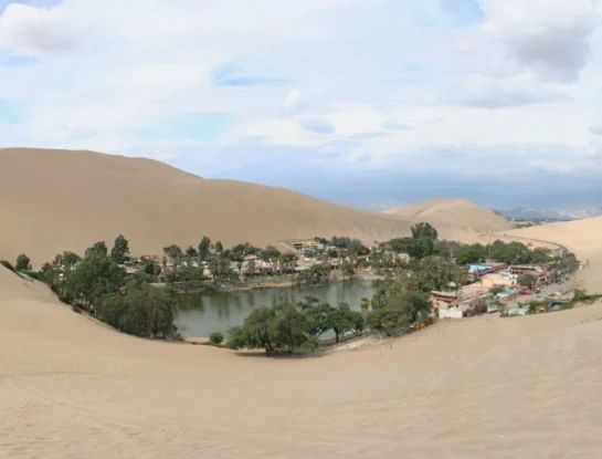 ¿Qué es un oasis y cómo puede aparecer en medio del desierto?