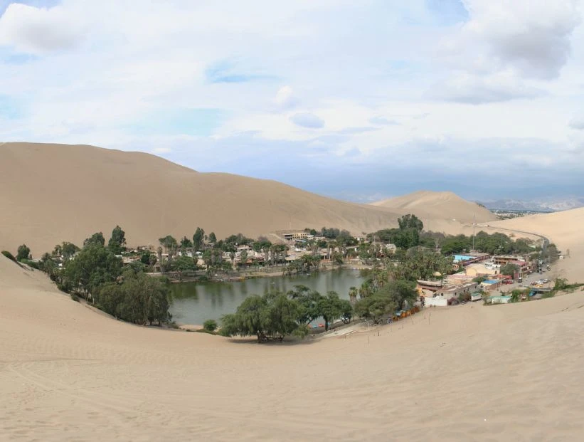 oasis