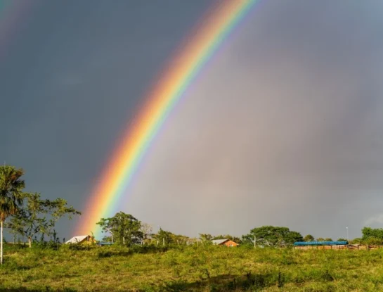 ¿Cómo se forma un arcoíris y por qué tiene tantos colores?