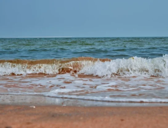 ¿Por qué el agua del mar es salada?