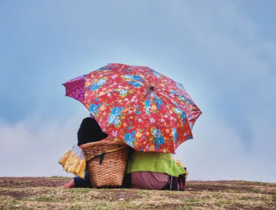 Paraguas: ¿cómo pasó de proteger del Sol a utilizarse contra la lluvia?