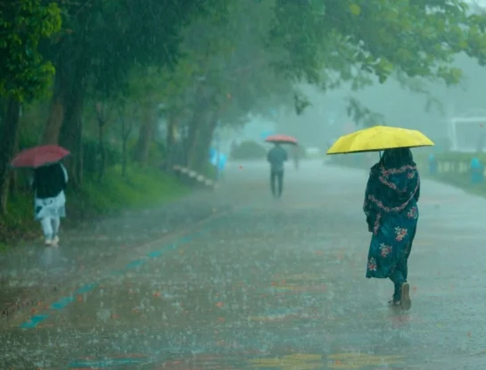 Tsuyu: qué es la temporada de lluvias de Japón y por qué marca el inicio del calor